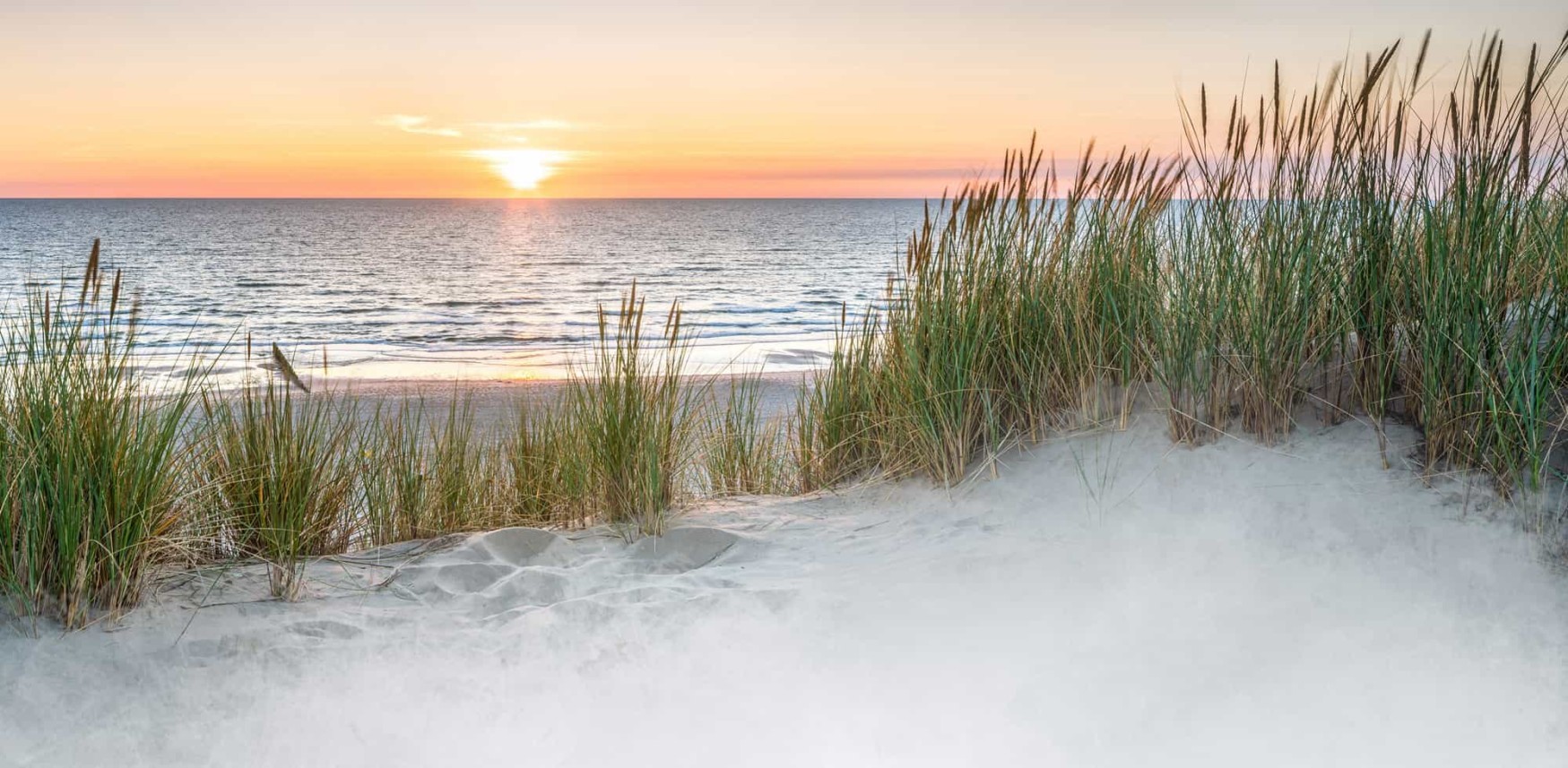 header_banner_image